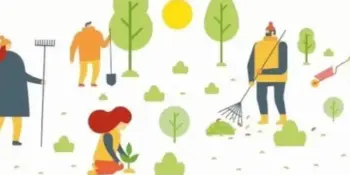 НАВЕДЕМ ПОРЯДОК ВМЕСТЕ!